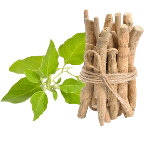 Dehydrated Onion Powder