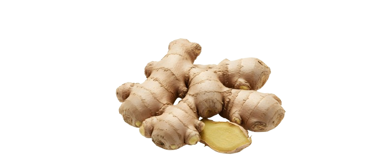 Onion Dehydration Plant Mahuva