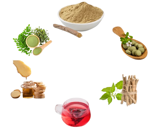 Onion Garlic Dehydration Plant Mahuva